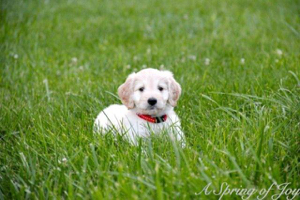 10447064_10101751553170279_6099840219757180470_n