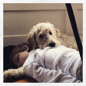 10428526_10102209305116709_2065649042199998124_n