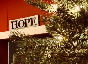 5E5E052E-C8DD-4F31-BCD9-69EE0F3C19DA